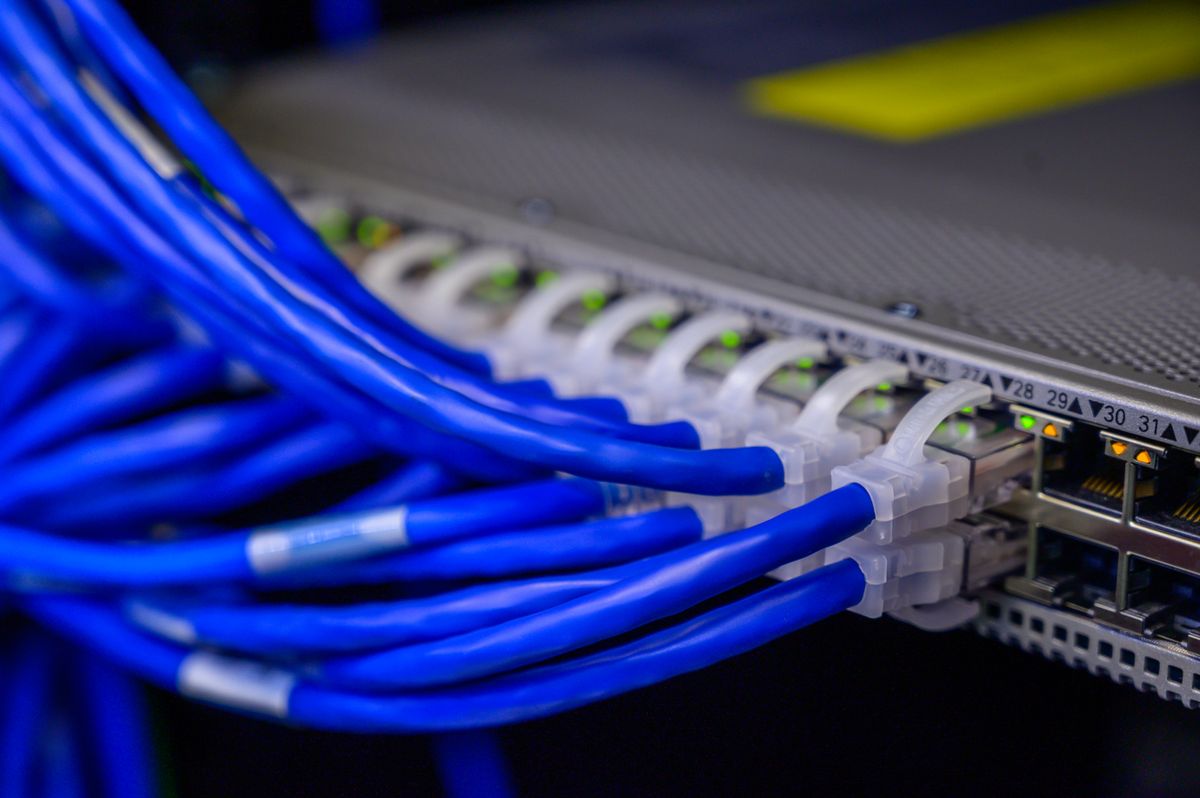 Cables Ethernet azules conectados a un switch de red — la capa de enrutado delante de la que se sitúa un proxy inverso.